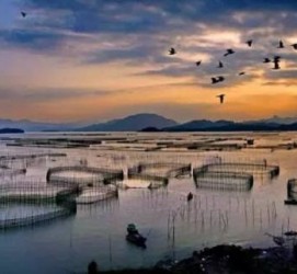 邳州伴游中国网景点丰富(旅游网介绍)