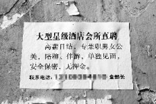邳州珠海伴游雇用网(珠海游览社雇用信息)