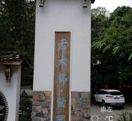 邳州关于伴游中国伴游你们伴得是什么游的信息