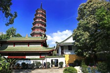 邳州广州自由行(广州 自由行)