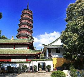 邳州广州自由行(广州 自由行)