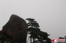 邳州上海伴游私家陪游雇用女模(上海伴游私家陪游雇用女模特)
