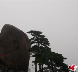 邳州上海伴游私家陪游雇用女模(上海伴游私家陪游雇用女模特)