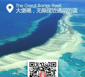 邳州中国250家旅行社结伴游新西兰(新西兰当地旅行社)