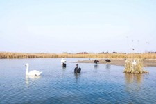 邳州南昌附近伴游小妹兼职(1534939978姐的微信德惠市)
