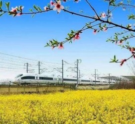 邳州高铁游(高铁游戏下载手机版)