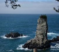 邳州旅游全攻略(上海旅游全攻略)