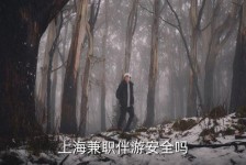 邳州上海私人伴游 上海伴游，上海兼职伴游安全吗