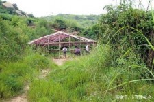 邳州北海伴游兼职雇用信息(北海伴游兼职雇用信息大全)