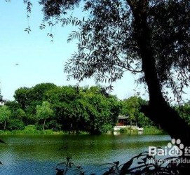 邳州西湖旅游攻略(上海到杭州西湖旅游攻略)