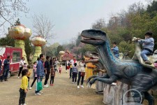 邳州中国伴游带你打卡网红南山竹海(南山竹海网上预约)
