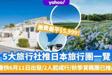 邳州旅游价格(旅游价格机制)