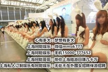 邳州雇用旅游男伴游(北京商务酒店雇用伴游)