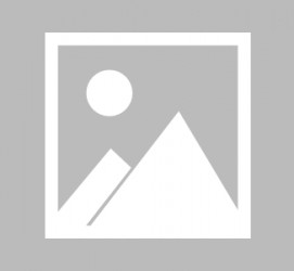 邳州向阳区伴游网雇用(北京伴游雇用90万月薪)