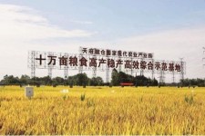 邳州关于成都商务伴游外围雇用的信息