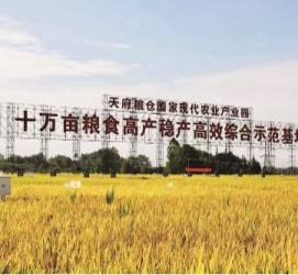 邳州关于成都商务伴游外围雇用的信息
