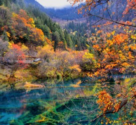邳州四川旅游攻略(四川旅游攻略十五日游)