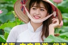 邳州日本关东伴游中国(日本关西旅行)