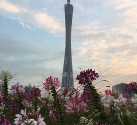 邳州广州旅游攻略(杭州到广州旅游攻略)