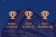 邳州上海私人伴游 ​ “小而美”的新时代：2020年国内新跟团消费报告