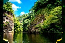 邳州旅游报价(旅行团旅游报价)