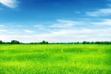 邳州上海伴游 上海模特伴游微信号的交友宣言
