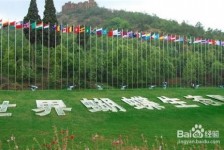 邳州昆明旅游攻略(昆明旅游攻略景点大全抚仙湖)
