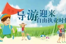 邳州私人伴游 “网约导游”到底是正流行 还是不热闹