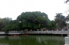 邳州福州旅游攻略(福州旅游攻略二日游)