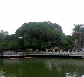 邳州福州旅游攻略(福州旅游攻略二日游)
