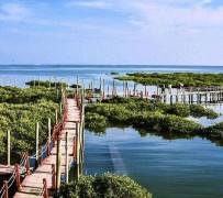 邳州旅游哪里好玩(云南旅游哪里好玩)