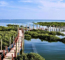 邳州旅游哪里好玩(云南旅游哪里好玩)