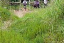 邳州苍溪学生做伴游兼职(苍溪学生做伴游兼职怎么样)