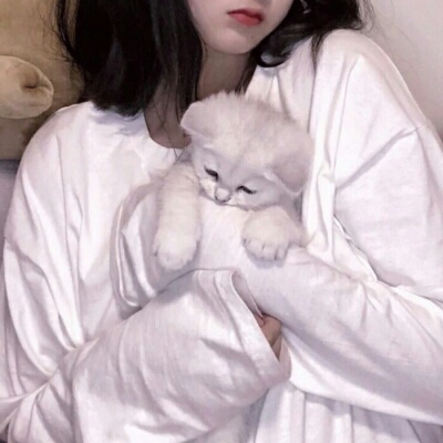 邳州伴游女生蕾鮑的资料